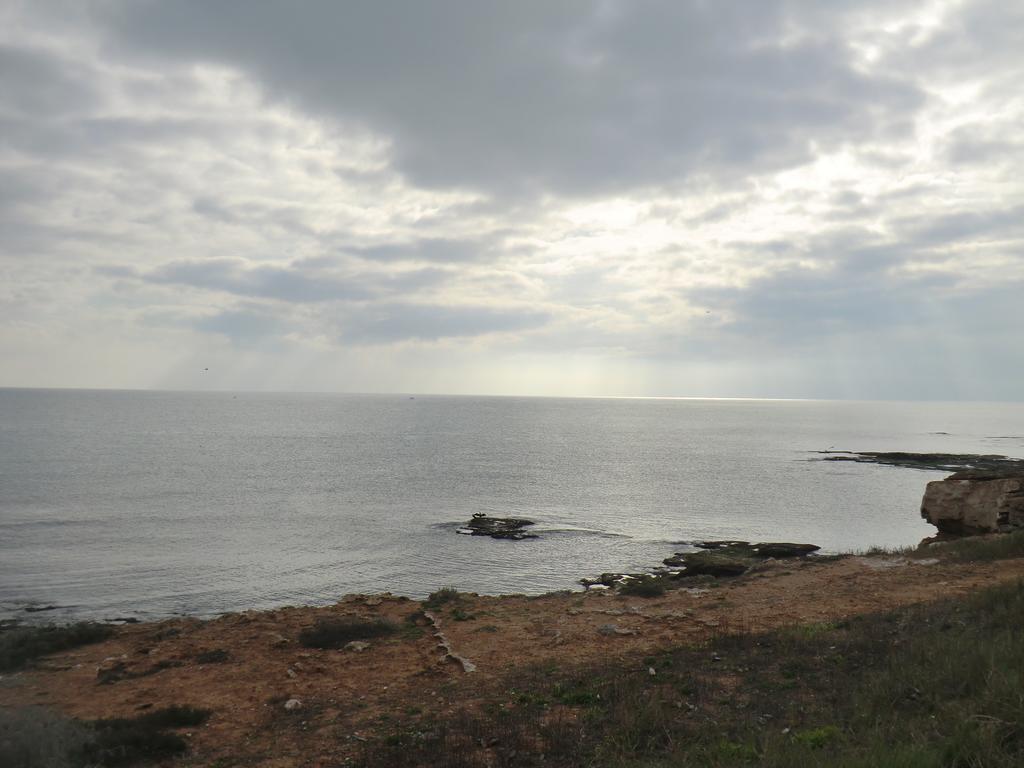 Casas Holiday - Miramar IX Torrevieja Dış mekan fotoğraf